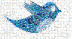 twitter, social media